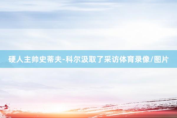 硬人主帅史蒂夫-科尔汲取了采访体育录像/图片
