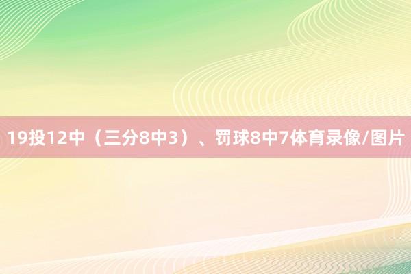 19投12中（三分8中3）、罚球8中7体育录像/图片