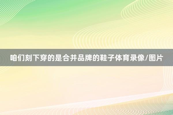 咱们刻下穿的是合并品牌的鞋子体育录像/图片