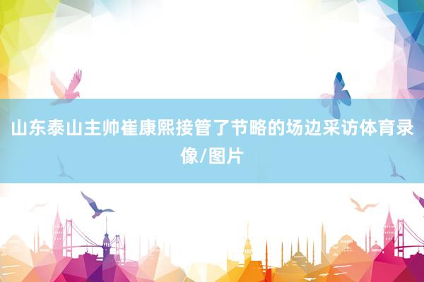 山东泰山主帅崔康熙接管了节略的场边采访体育录像/图片
