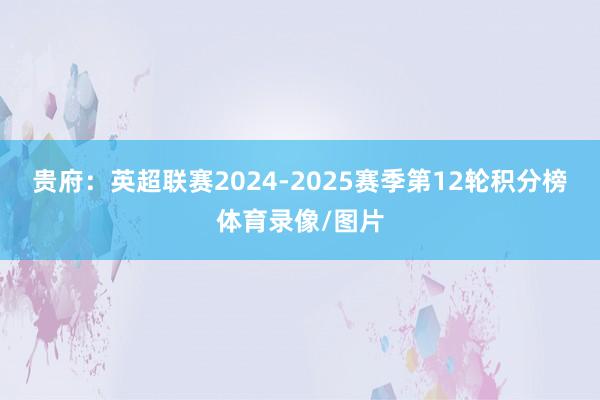 贵府：英超联赛2024-2025赛季第12轮积分榜体育录像/图片