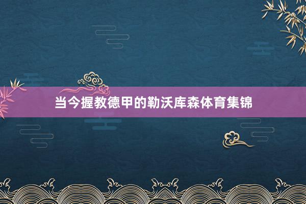当今握教德甲的勒沃库森体育集锦