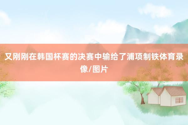 又刚刚在韩国杯赛的决赛中输给了浦项制铁体育录像/图片