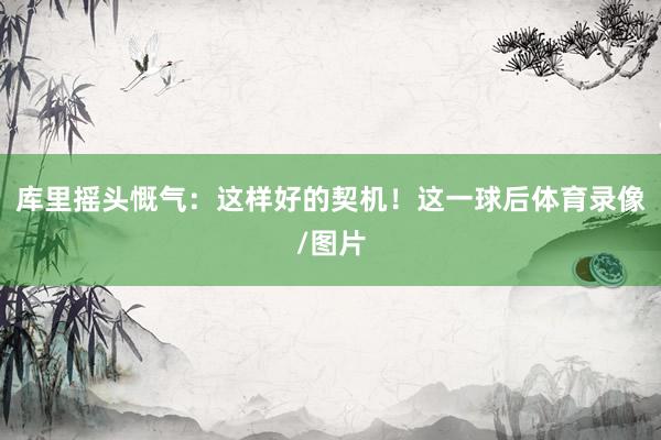 库里摇头慨气：这样好的契机！这一球后体育录像/图片