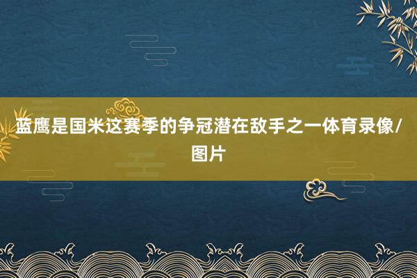 蓝鹰是国米这赛季的争冠潜在敌手之一体育录像/图片