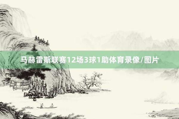 马赫雷斯联赛12场3球1助体育录像/图片