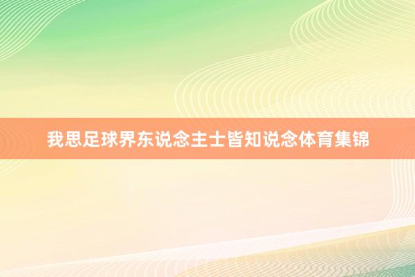 我思足球界东说念主士皆知说念体育集锦