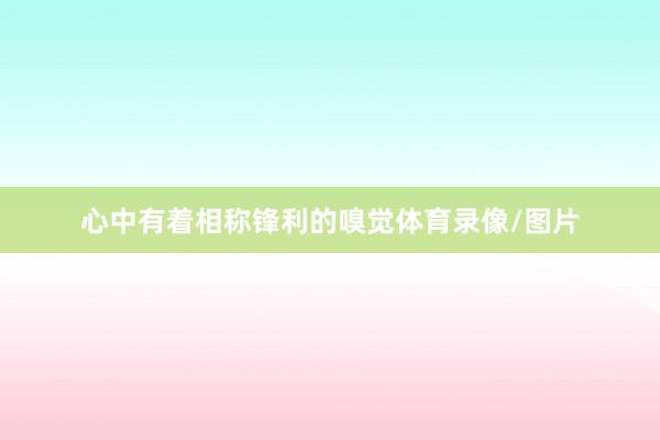 心中有着相称锋利的嗅觉体育录像/图片