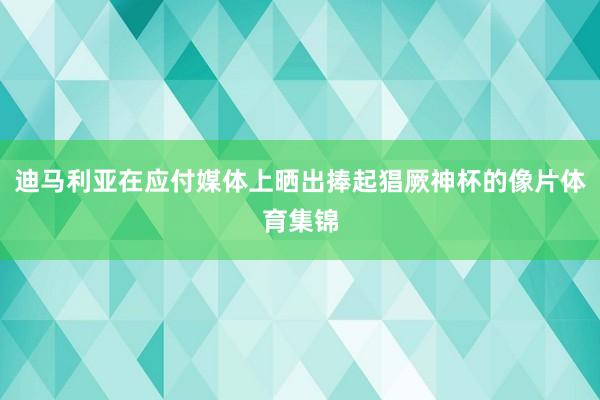 迪马利亚在应付媒体上晒出捧起猖厥神杯的像片体育集锦