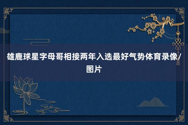 雄鹿球星字母哥相接两年入选最好气势体育录像/图片