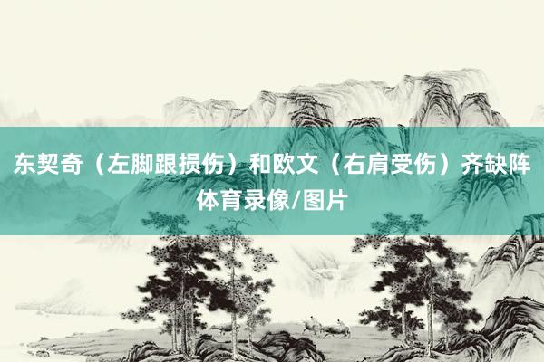 东契奇（左脚跟损伤）和欧文（右肩受伤）齐缺阵体育录像/图片
