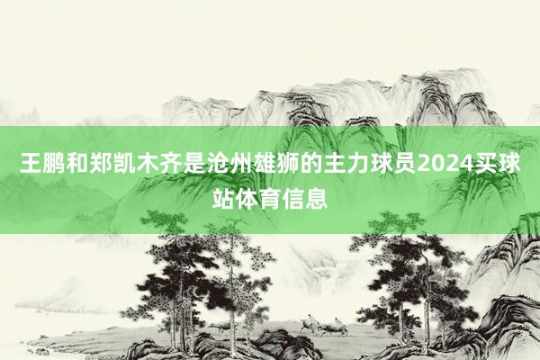 王鹏和郑凯木齐是沧州雄狮的主力球员2024买球站体育信息