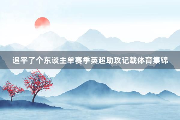 追平了个东谈主单赛季英超助攻记载体育集锦