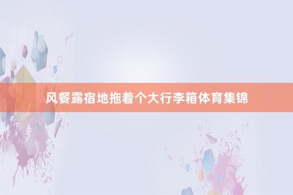 风餐露宿地拖着个大行李箱体育集锦