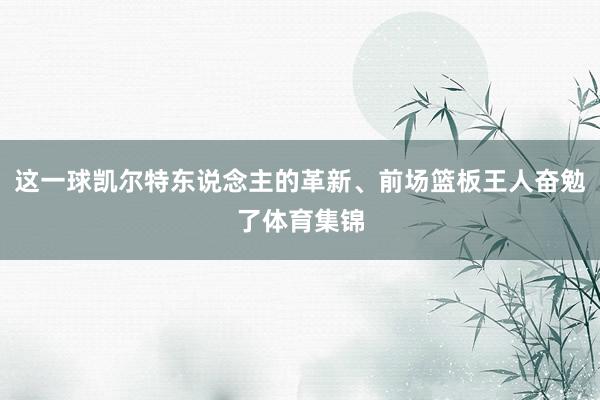 这一球凯尔特东说念主的革新、前场篮板王人奋勉了体育集锦