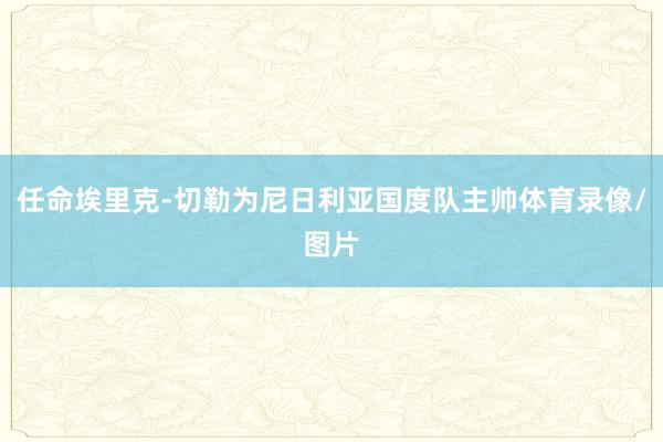 任命埃里克-切勒为尼日利亚国度队主帅体育录像/图片