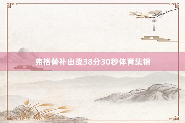 弗格替补出战38分30秒体育集锦