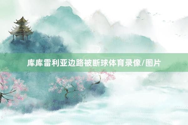 库库雷利亚边路被断球体育录像/图片