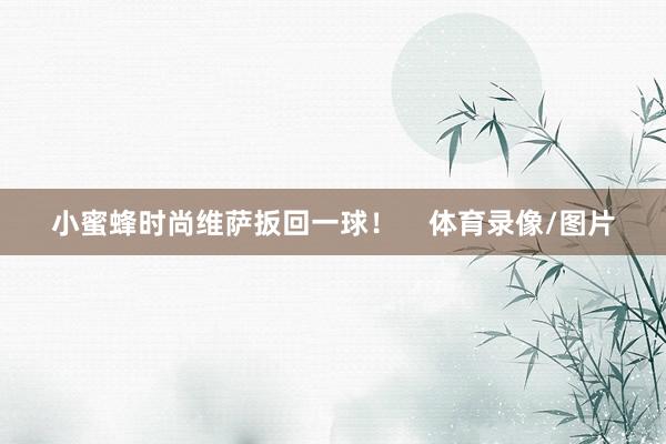 小蜜蜂时尚维萨扳回一球！    体育录像/图片