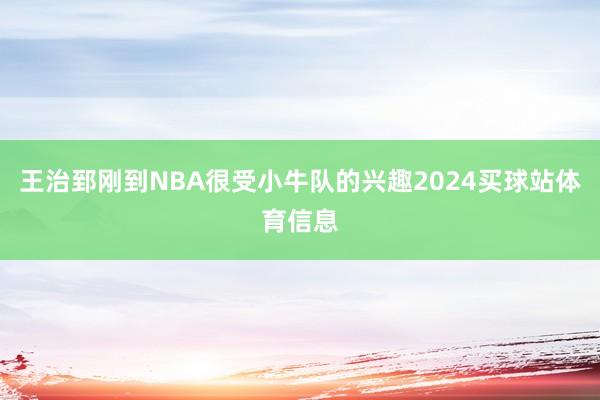 王治郅刚到NBA很受小牛队的兴趣2024买球站体育信息