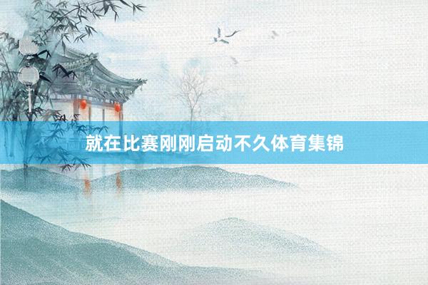 就在比赛刚刚启动不久体育集锦