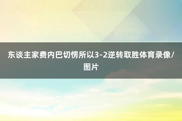 东谈主家费内巴切愣所以3-2逆转取胜体育录像/图片
