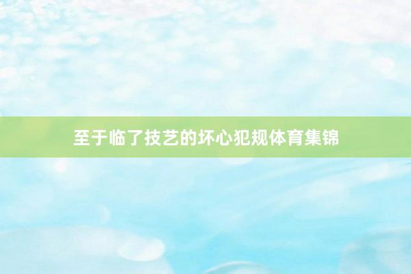 至于临了技艺的坏心犯规体育集锦