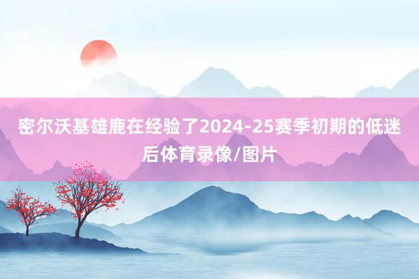 密尔沃基雄鹿在经验了2024-25赛季初期的低迷后体育录像/图片