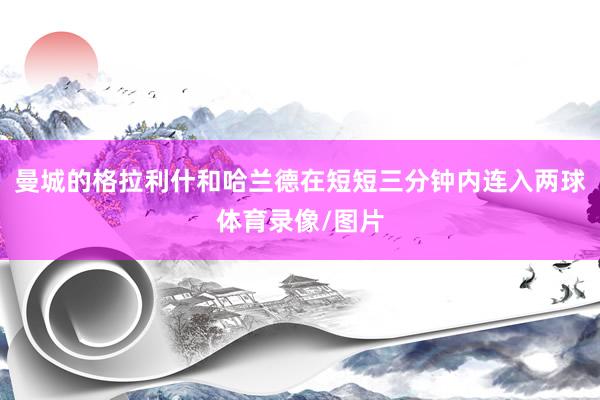 曼城的格拉利什和哈兰德在短短三分钟内连入两球体育录像/图片