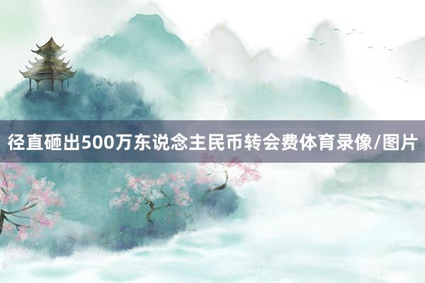 径直砸出500万东说念主民币转会费体育录像/图片