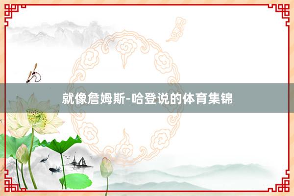 就像詹姆斯-哈登说的体育集锦