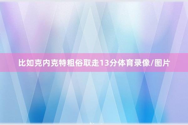 比如克内克特粗俗取走13分体育录像/图片