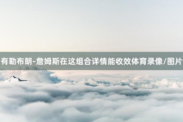 有勒布朗-詹姆斯在这组合详情能收效体育录像/图片