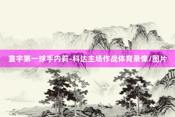 寰宇第一球手内莉-科达主场作战体育录像/图片