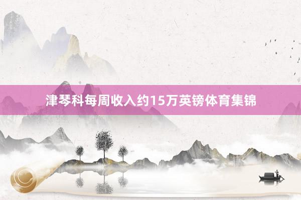 津琴科每周收入约15万英镑体育集锦