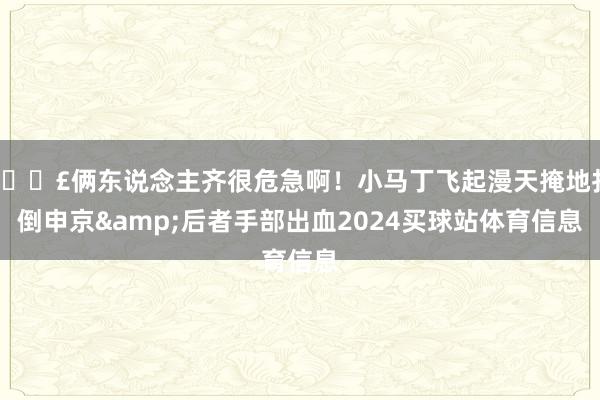 😣俩东说念主齐很危急啊！小马丁飞起漫天掩地扑倒申京&后者手部出血2024买球站体育信息
