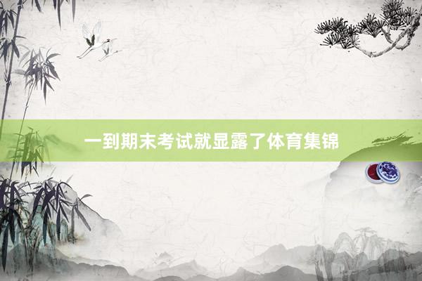 一到期末考试就显露了体育集锦