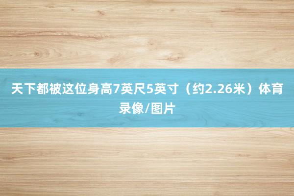 天下都被这位身高7英尺5英寸（约2.26米）体育录像/图片