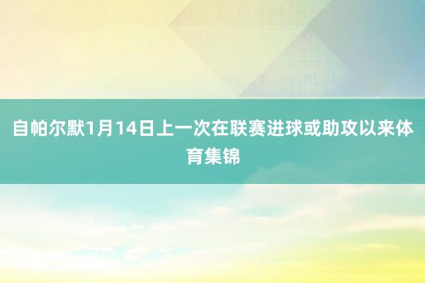 自帕尔默1月14日上一次在联赛进球或助攻以来体育集锦