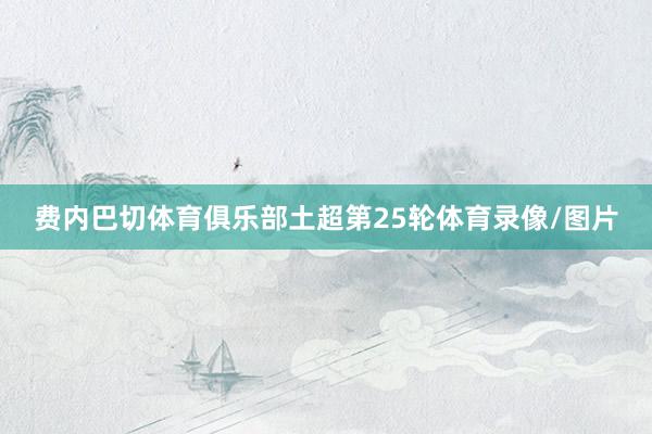 费内巴切体育俱乐部土超第25轮体育录像/图片