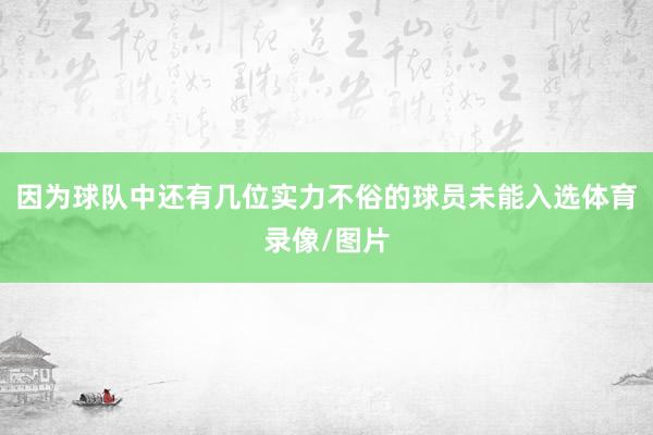 因为球队中还有几位实力不俗的球员未能入选体育录像/图片