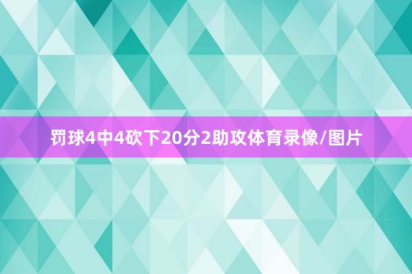 罚球4中4砍下20分2助攻体育录像/图片