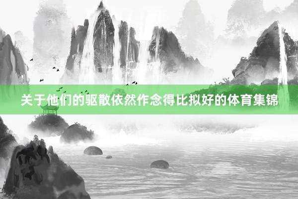 关于他们的驱散依然作念得比拟好的体育集锦