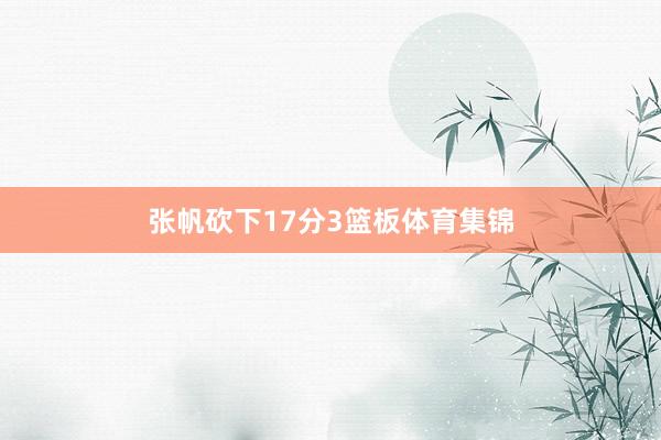 张帆砍下17分3篮板体育集锦