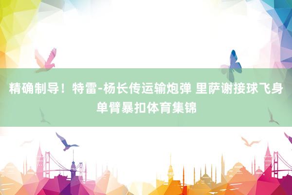 精确制导！特雷-杨长传运输炮弹 里萨谢接球飞身单臂暴扣体育集锦