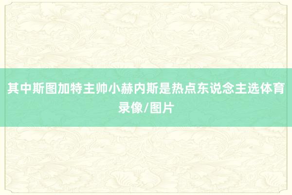 其中斯图加特主帅小赫内斯是热点东说念主选体育录像/图片