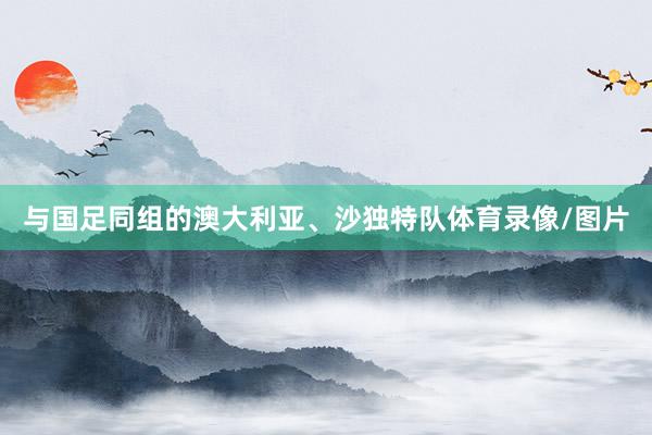 与国足同组的澳大利亚、沙独特队体育录像/图片