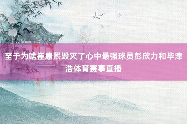 至于为啥崔康熙毁灭了心中最强球员彭欣力和毕津浩体育赛事直播