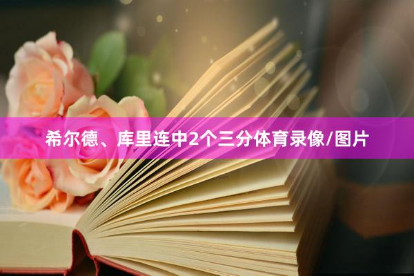 希尔德、库里连中2个三分体育录像/图片