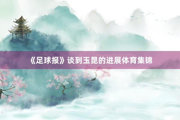 《足球报》谈到玉昆的进展体育集锦